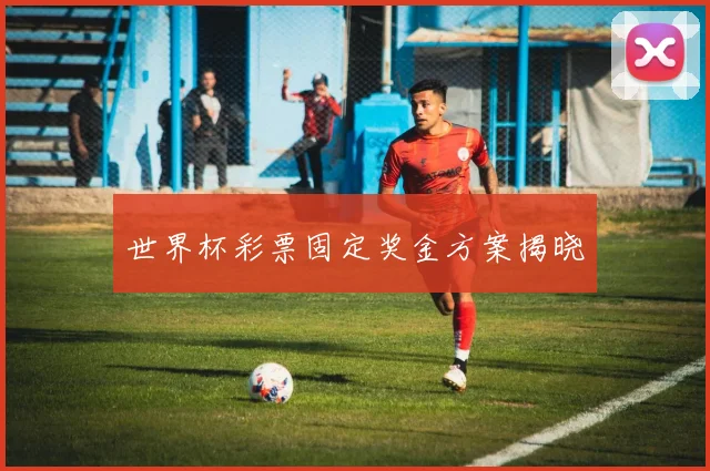 世界杯彩票固定奖金方案揭晓