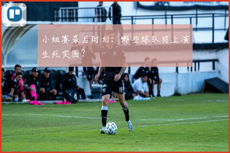 小组赛最后时刻:哪些球队将上演生死突围?