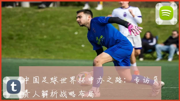 中国足球世界杯申办之路：专访负责人解析战略布局
