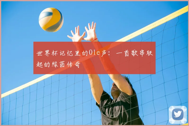 世界杯记忆里的Ole声：一首歌串联起的绿茵传奇