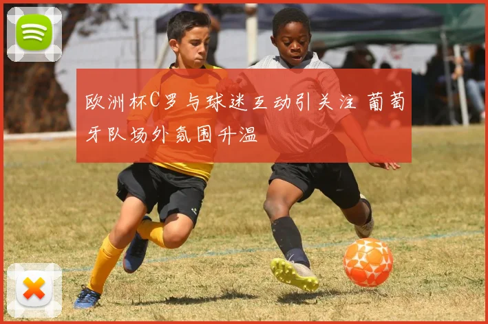 欧洲杯C罗与球迷互动引关注 葡萄牙队场外氛围升温