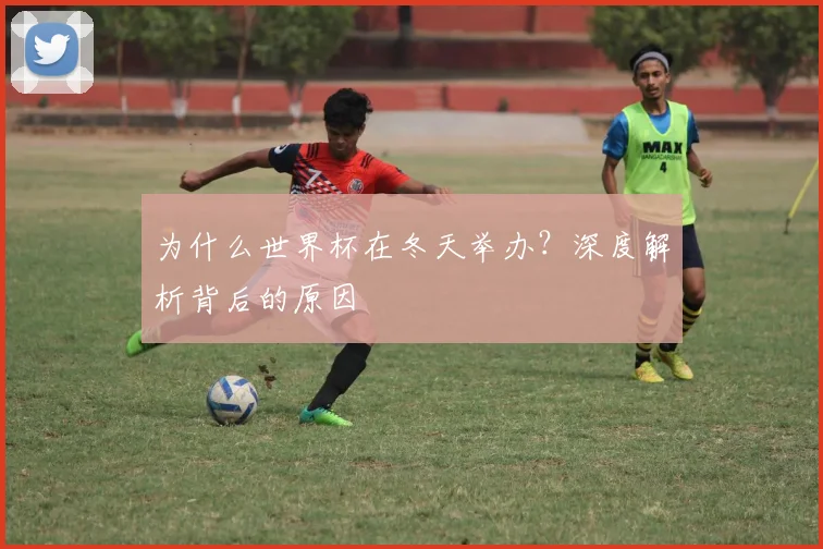 为什么世界杯在冬天举办？深度解析背后的原因